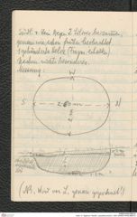 Seite 14, Tagebuch "Neolith. Lang-Mannersdorf | 1920" (NHMW-PRAE-BBB-87)